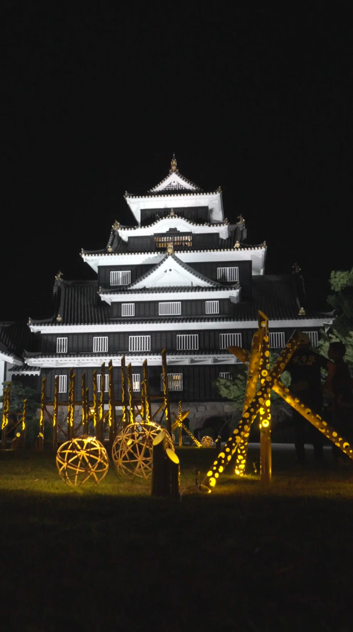 ライトアップされた岡山城正面
