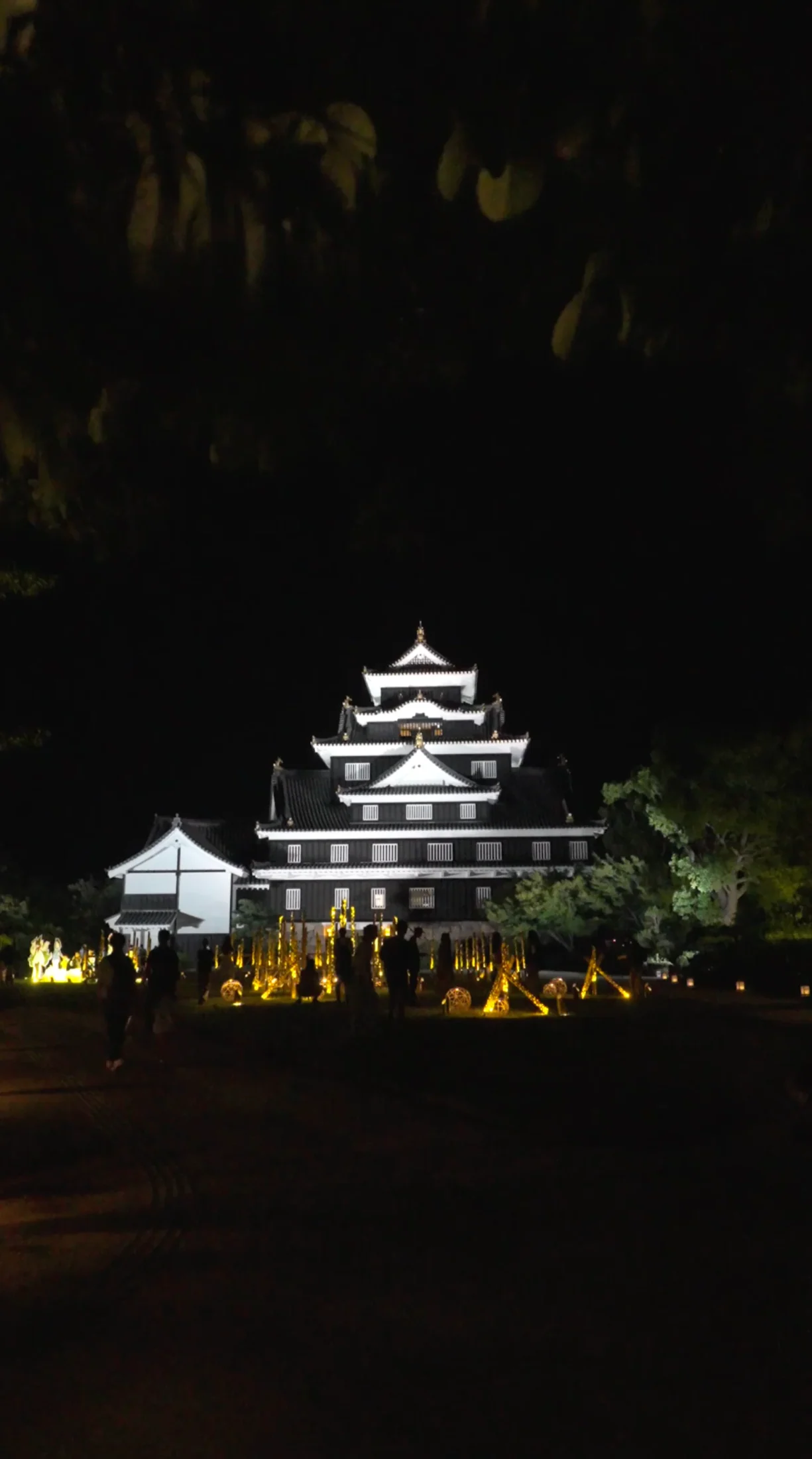 夜の岡山城遠景