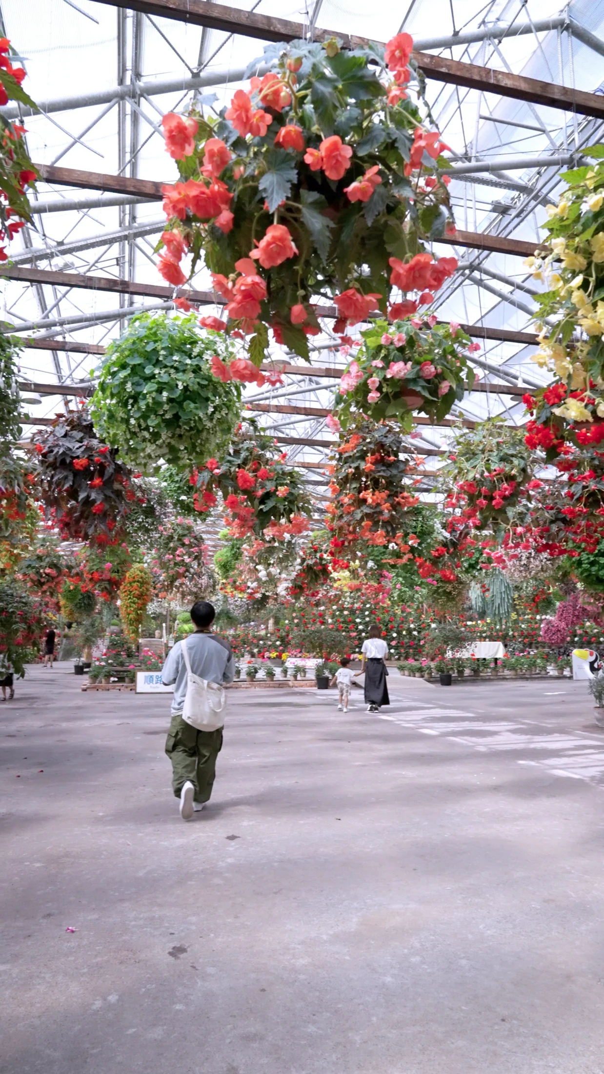 松江フォーゲルパークの花の温室