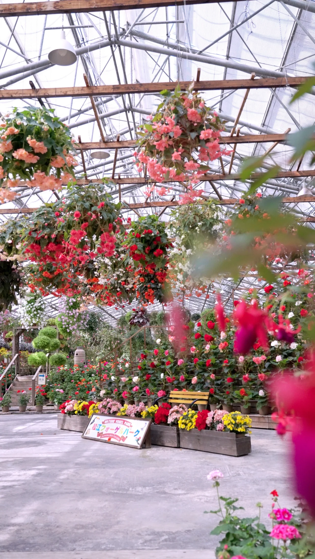 松江フォーゲルパークに咲く色とりどりの花