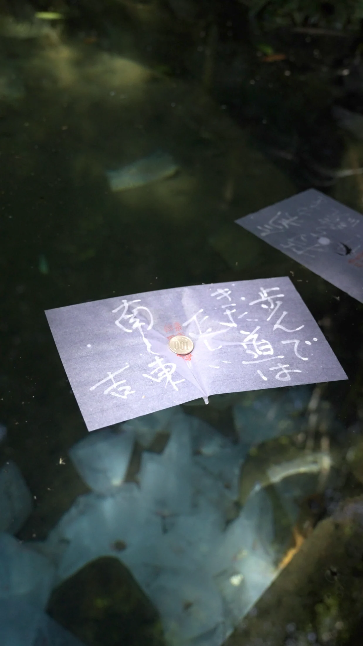 八重垣神社の鏡の池に浮かぶ縁占い